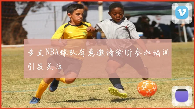 多支NBA球队有意邀请徐昕参加试训引发关注